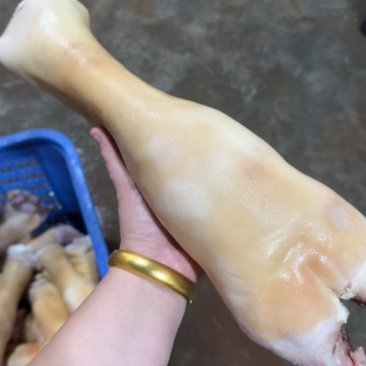 火烧牛蹄