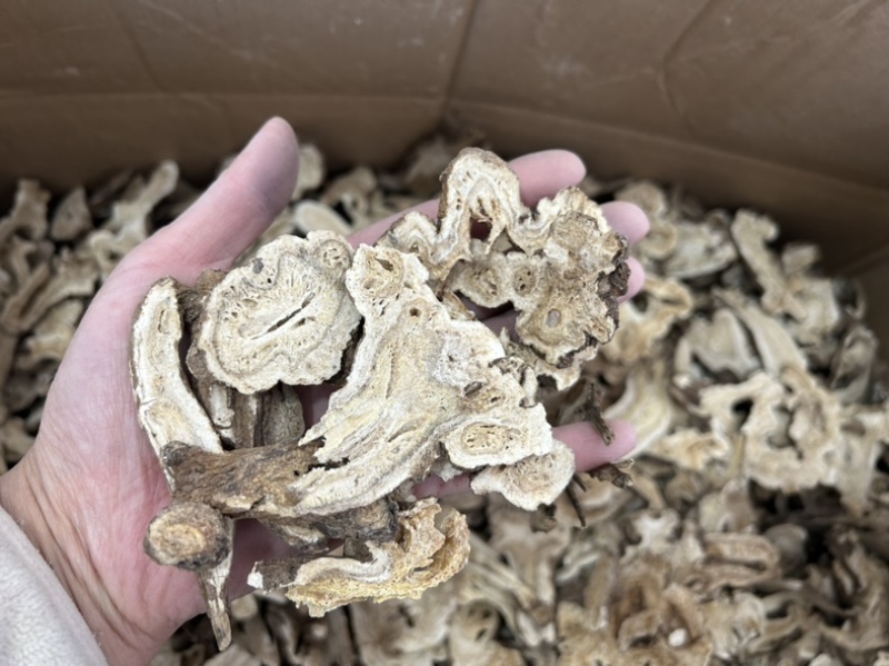 生白术白术片无硫两年货源充足