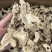 生白术白术片无硫两年货源充足