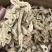 生白术白术片无硫两年货源充足