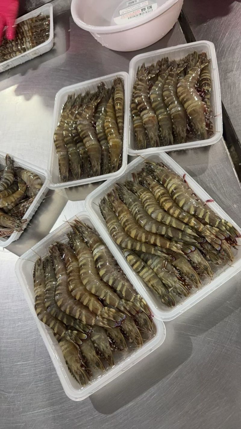 黑虎虾（木虾，墨虾）一盒400克，11一12条左右
