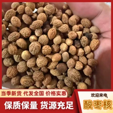 酸枣核中药材批发，山东临沂产地直发酸枣核仁