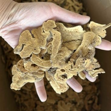 炒白术麸炒白术各种规格地道药材