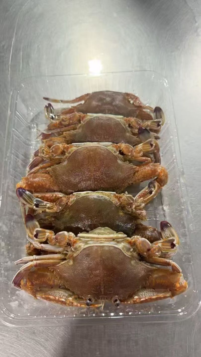 本港野生大肉蟹(**品质)，5-6只500g