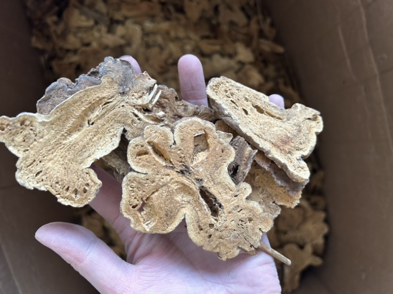 炒白术麸炒白术各种规格地道药材