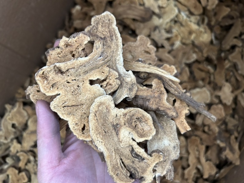 炒白术麸炒白术各种规格地道药材