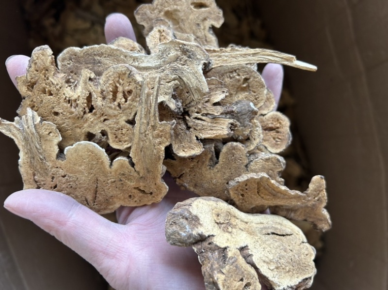 炒白术麸炒白术各种规格地道药材