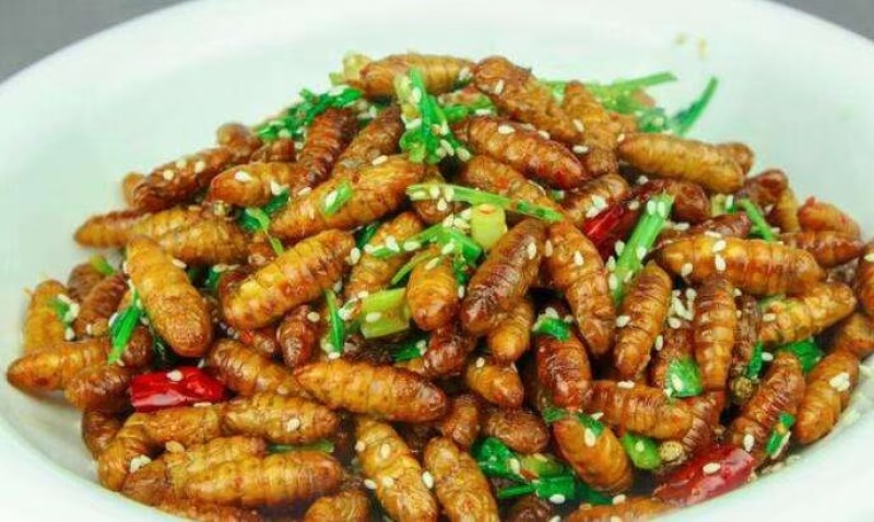 金丝蚕蛹，量大价优，营养价值好。