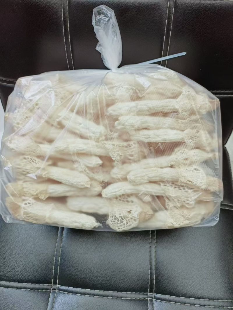 织金清香型竹荪营养美味新鲜采摘欢迎选购