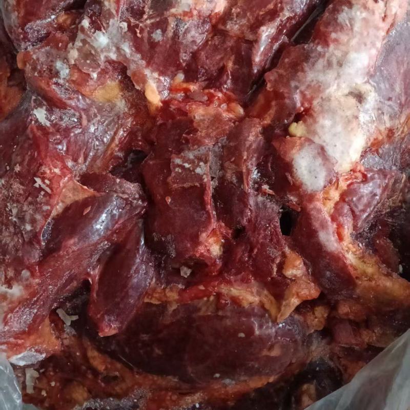 鲜冻黄牛肉