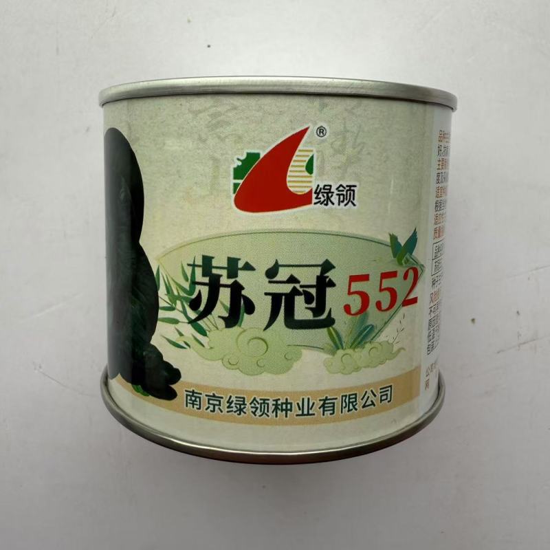 绿领苏冠550黑叶矮脚青菜种籽高产耐寒黑亮矮箕趴地苏州
