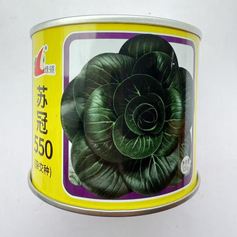 绿领苏冠550黑叶矮脚青菜种籽高产耐寒黑亮矮箕趴地苏州