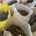 自家山茶油5斤装