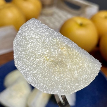 山东秋月梨