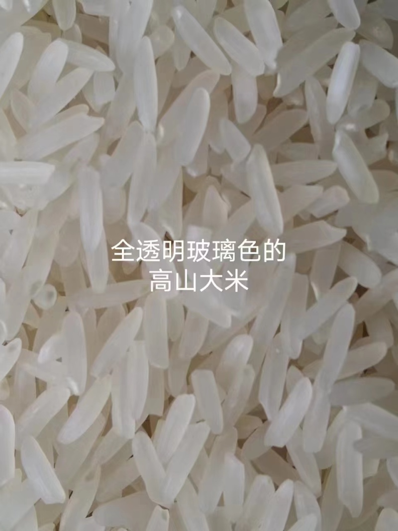 重庆野香优莉丝白米/高山生产水稻/大米/白米