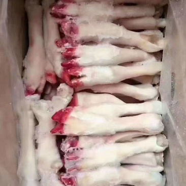 白羊蹄一斤3个