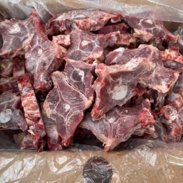 满肉羊蝎子