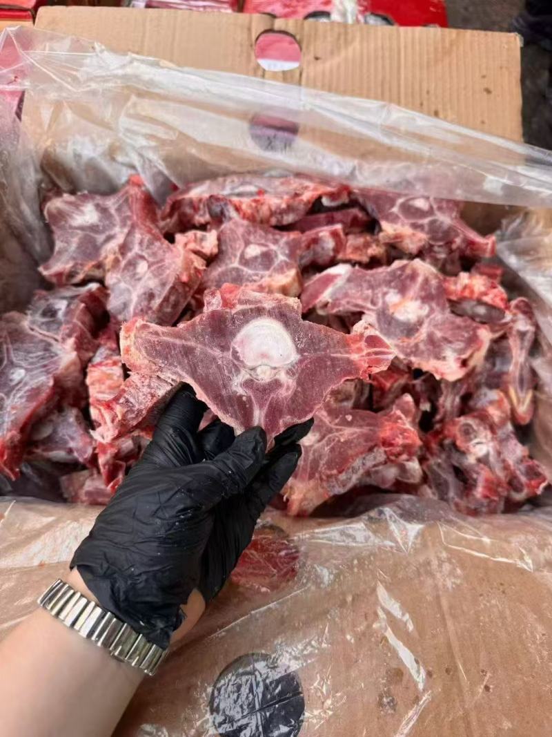 满肉羊蝎子