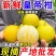 【皇帝柑】广东韶关产地直供对接市场社区电商平台