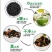 电商产品新上市，裙带菜虾皮汤料200克一罐，