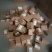 电商产品新上市，裙带菜虾皮汤料200克一罐，