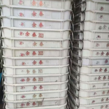 广东有17000个6斤的铁耳框60*42*30，