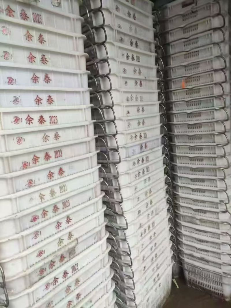 广东有17000个6斤的铁耳框60*42*30，
