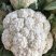 松花菜青梗白面有机花菜产地直发/品质保证量大价优全国发货