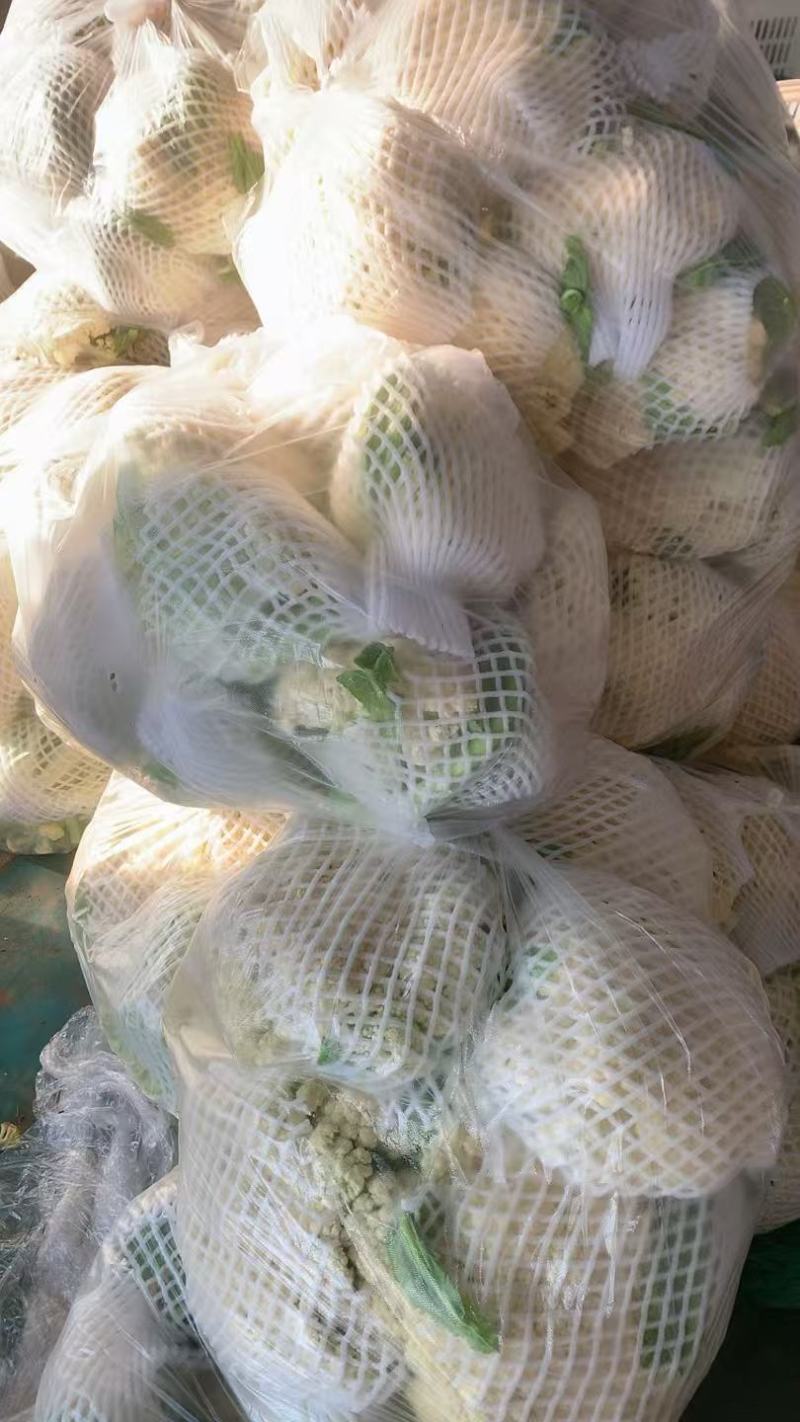 松花菜青梗白面有机花菜产地直发/品质保证量大价优全国发货