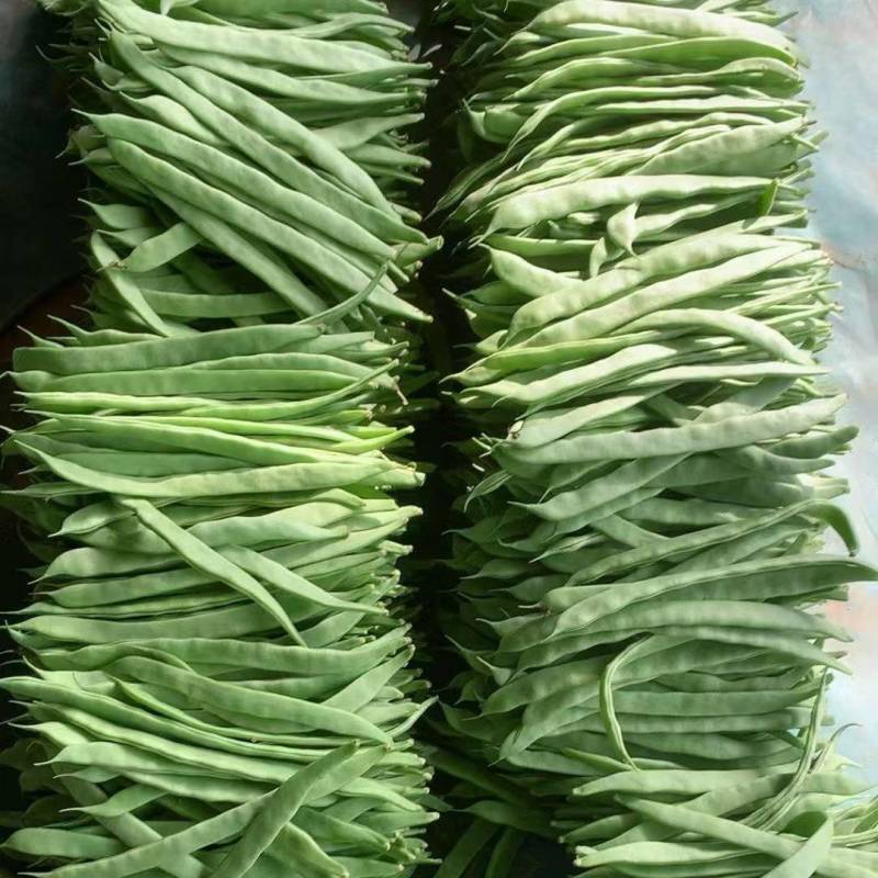 山东扁青芸豆条长肉厚精品扁豆/新鲜采摘市场商超都可对接