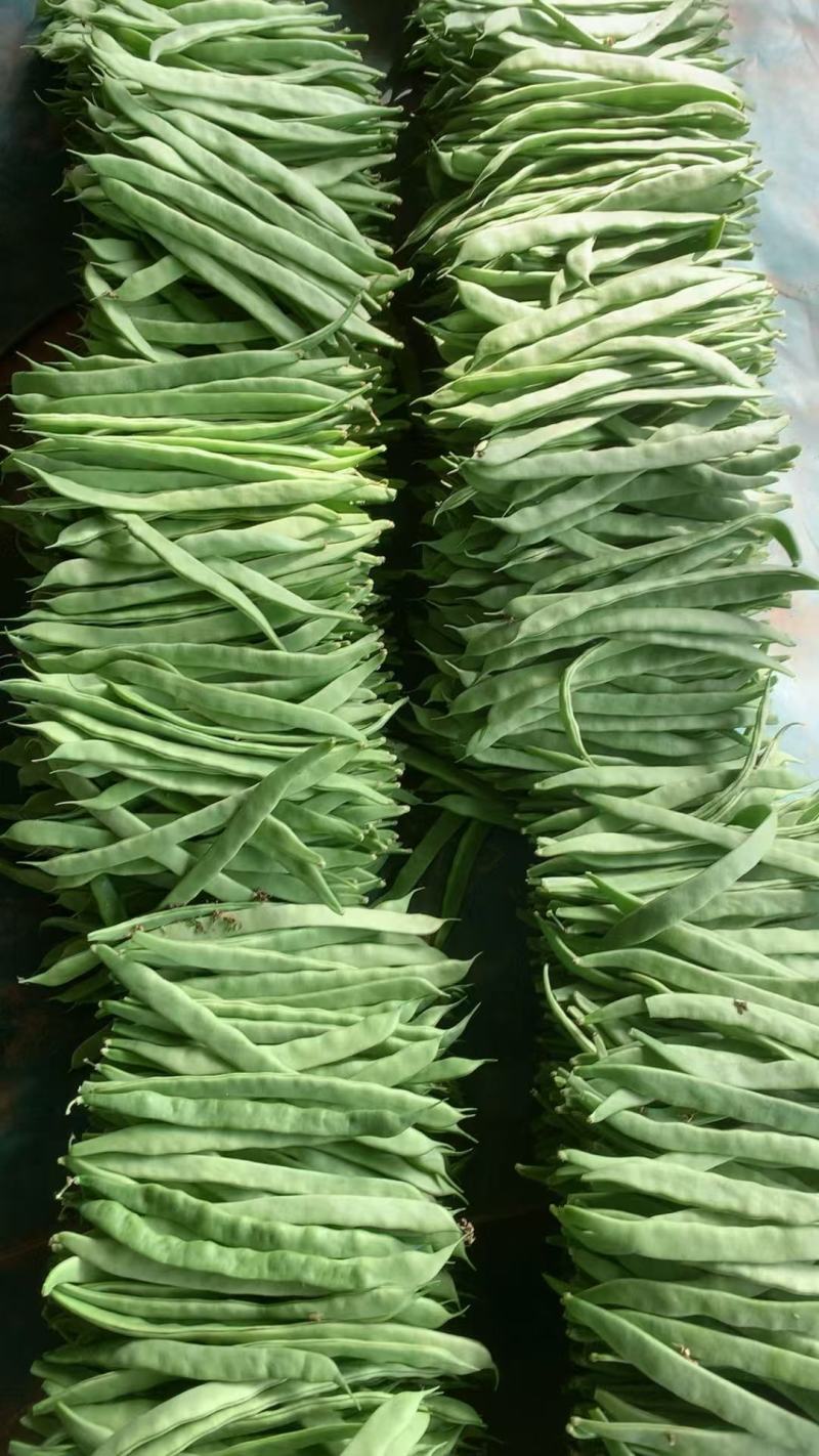 山东扁青芸豆条长肉厚精品扁豆/新鲜采摘市场商超都可对接
