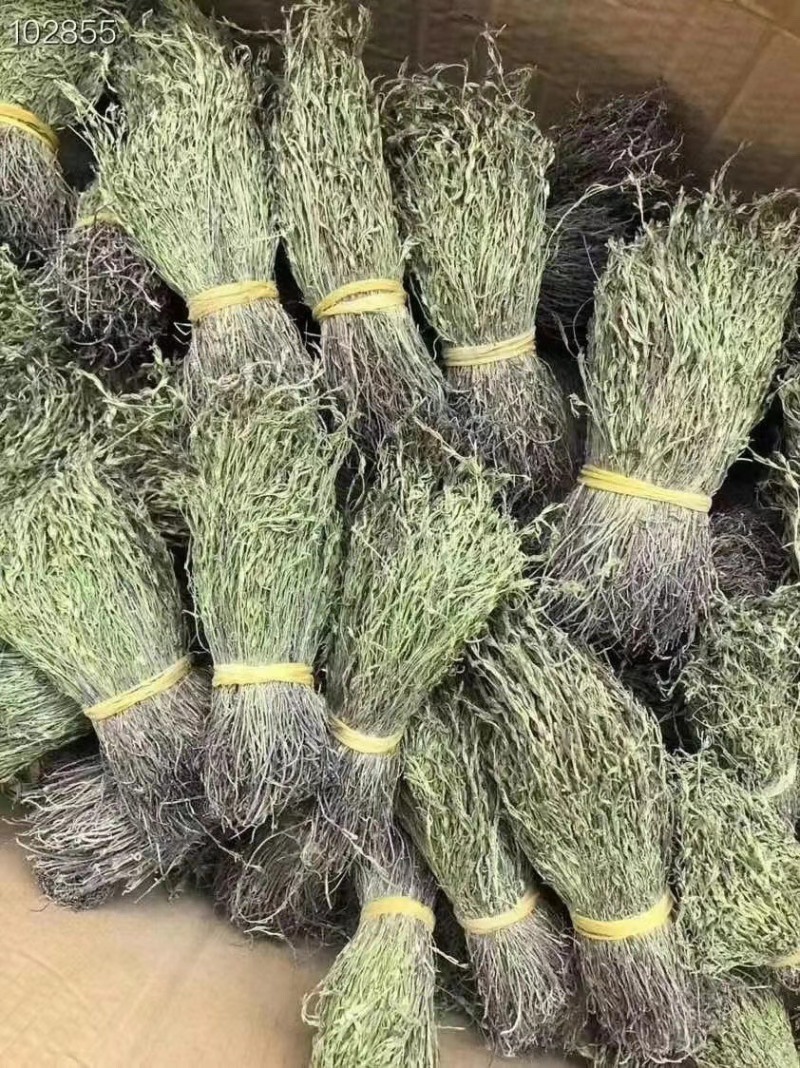 独角金独脚金批发小短腿颜色绿过筛无碎足干孩儿草独脚金批发