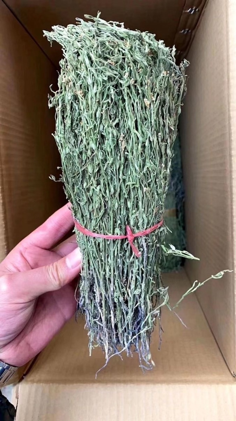 独角金独脚金批发小短腿颜色绿过筛无碎足干孩儿草独脚金批发