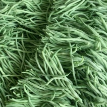 山东豆角圆芸豆无丝豆基地直供大量供应现摘现发品质保证