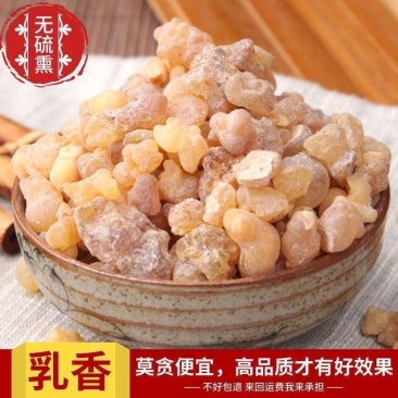 乳香中药材乳香珠无熏硫乳香正品新货乳香好乳香