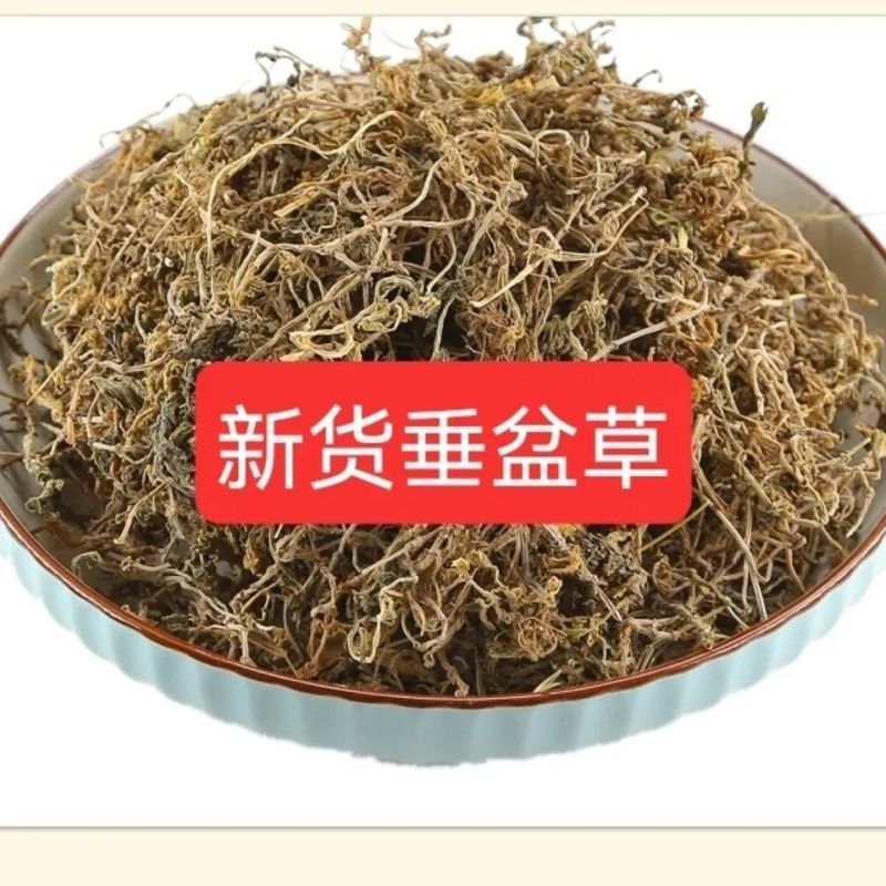 垂盆草中药材干货正宗天然药用垂盆草无硫干净