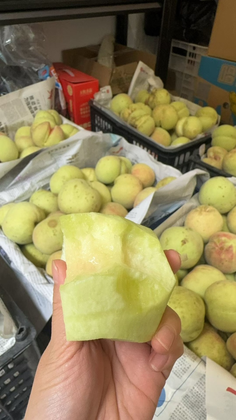 脆甜冬桃