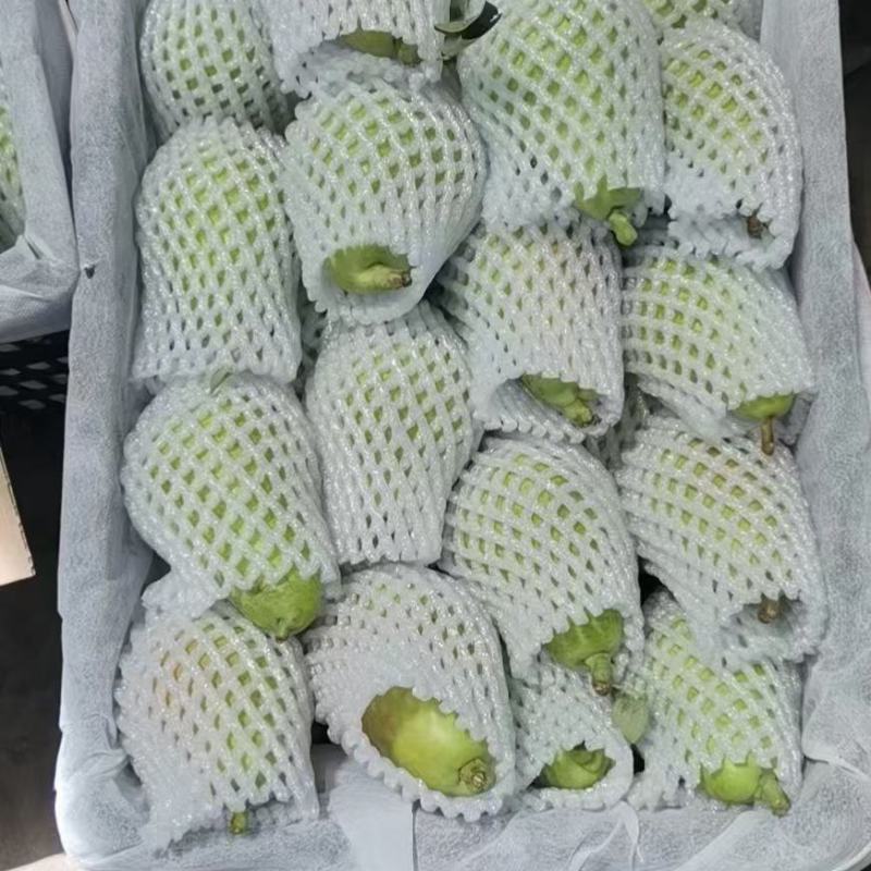 香蕉梨