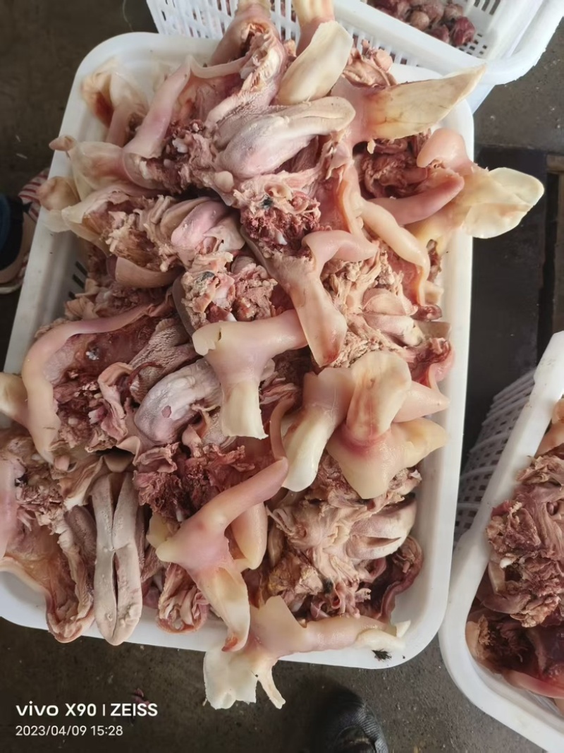 精品小牛脸