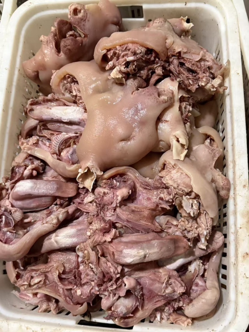 精品小牛脸