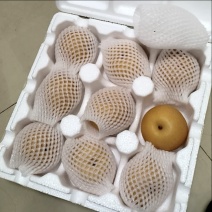 莱阳原产地秋月梨脆甜一件18
