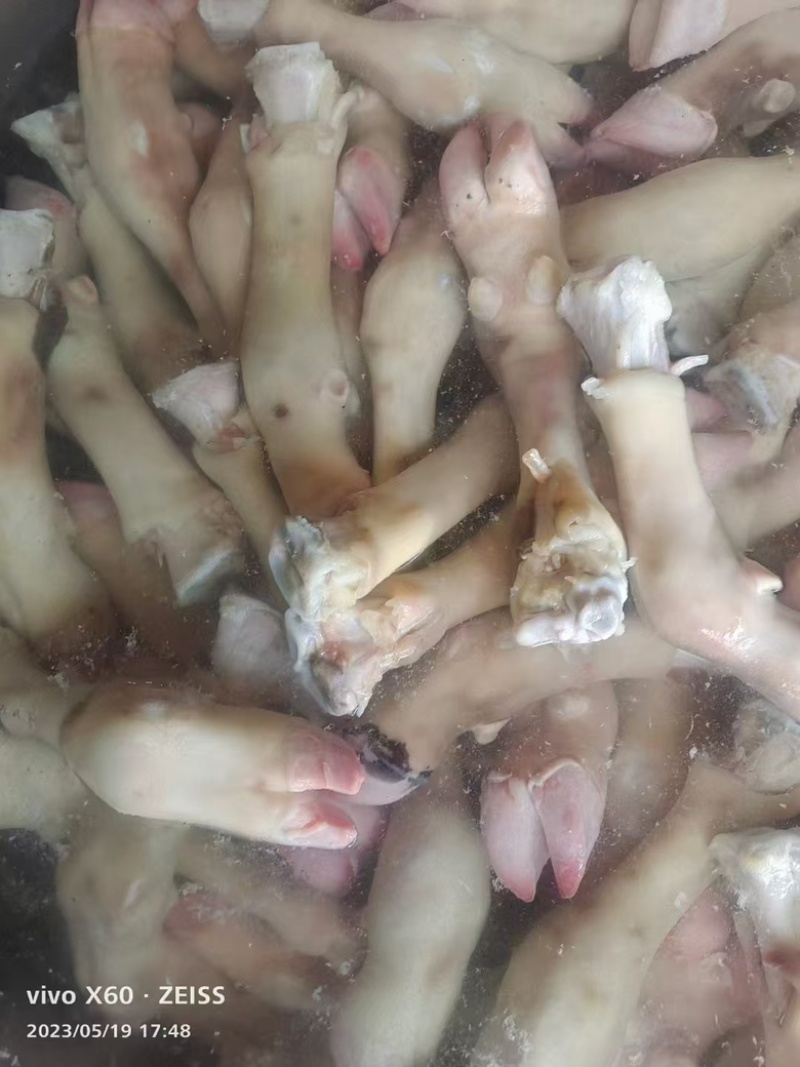 精品标准小牛蹄