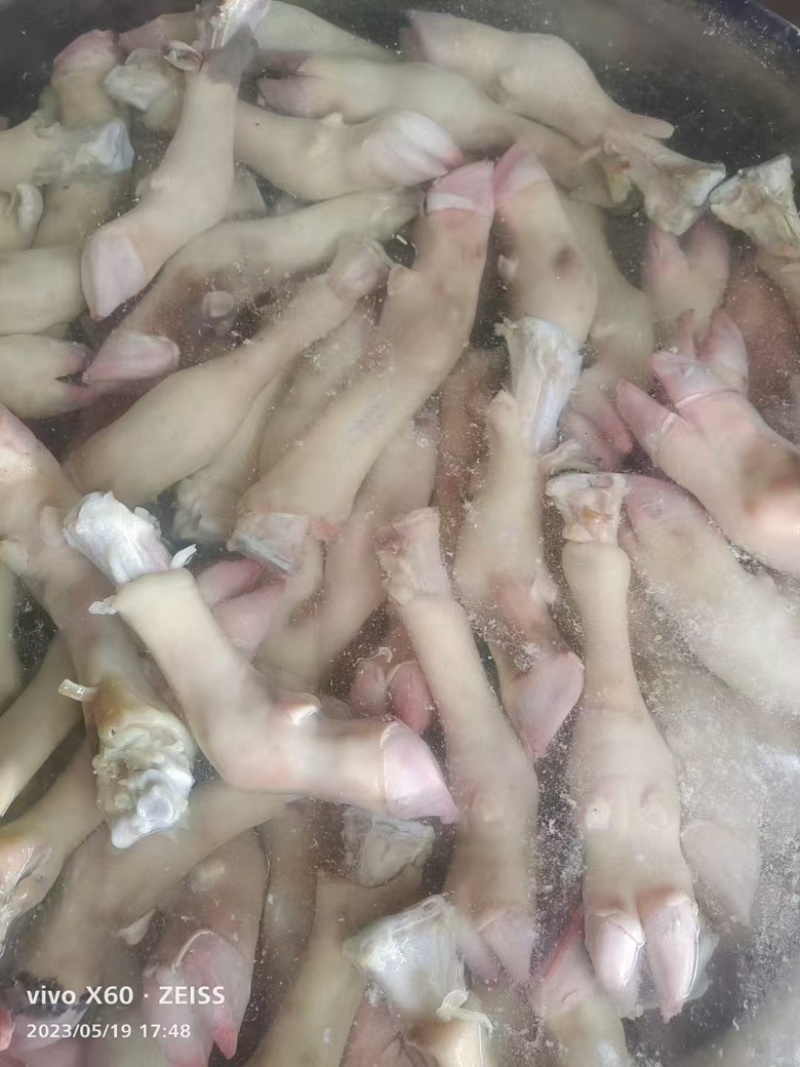 精品标准小牛蹄