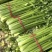 推荐山东芹菜法国皇后芹菜基地直供量大从优价格实惠