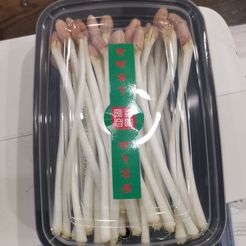 新鲜花生芽一手货源诚信合作量大从优欢迎来电