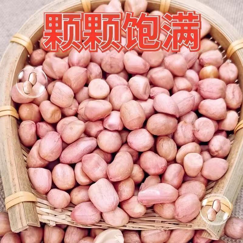白沙花生米水分9-10无霉无坏颗粒全国发货过筛8个