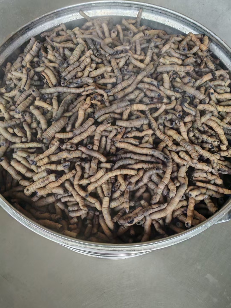自产自销精制巴戟天，价低货靓