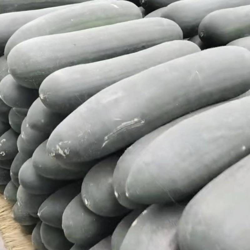 冬瓜吊冬瓜一手货源产地直发精品质量保质保量