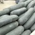 冬瓜吊冬瓜一手货源产地直发精品质量保质保量