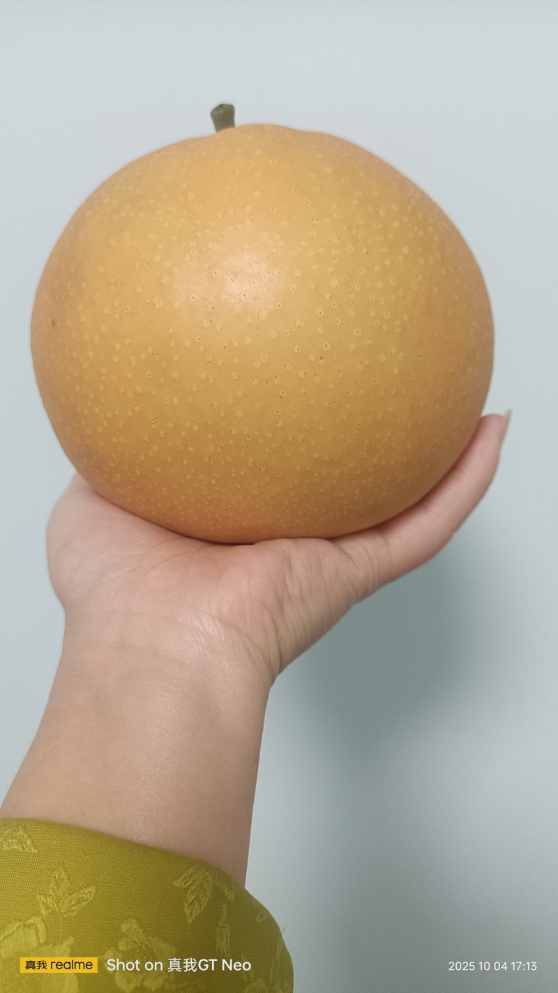 生活需要一点甜，包金梨来增色添；清甜可口汁水鲜